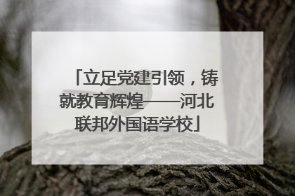 立足党建引领，铸就教育辉煌——河北联邦外国语学校